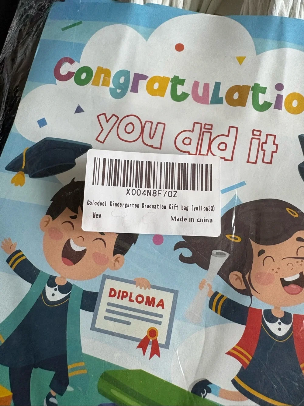 Graduation Gift Bags 42 count